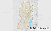 Shaded Relief 3D Map of West Bank, lighten, desaturated