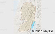 Shaded Relief 3D Map of West Bank, lighten