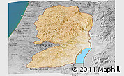 Satellite Panoramic Map of West Bank, desaturated, land only