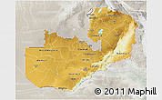 Physical 3D Map of Zambia, lighten, semi-desaturated