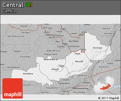 Gray 3D Map of Central