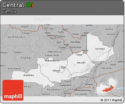 Gray 3D Map of Central