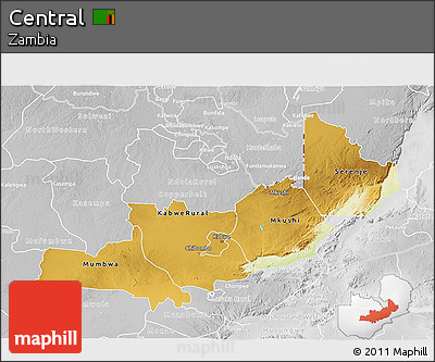 Physical 3D Map of Central, lighten, desaturated
