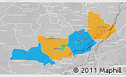 Political 3D Map of Central, lighten, desaturated