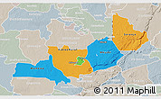Political 3D Map of Central, lighten, semi-desaturated