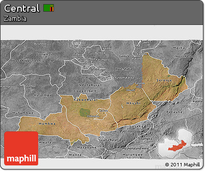 Satellite 3D Map of Central, desaturated