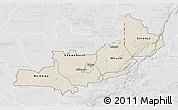 Shaded Relief 3D Map of Central, lighten, desaturated