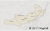 Shaded Relief 3D Map of Central, lighten, semi-desaturated