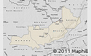 Shaded Relief Map of Central, desaturated