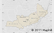 Shaded Relief Map of Central, lighten, desaturated