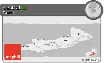 Gray Panoramic Map of Central, single color outside