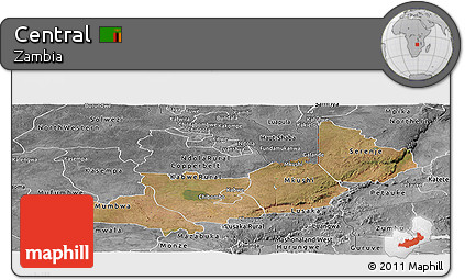 Satellite Panoramic Map of Central, desaturated