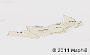 Shaded Relief Panoramic Map of Central, cropped outside