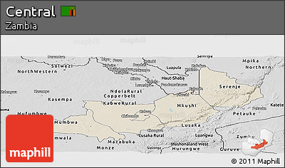 Shaded Relief Panoramic Map of Central, desaturated