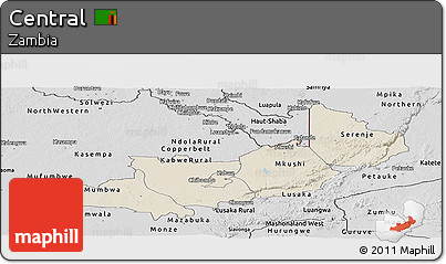 Shaded Relief Panoramic Map of Central, desaturated