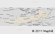 Shaded Relief Panoramic Map of Central, desaturated