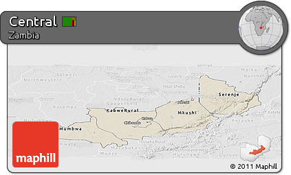 Shaded Relief Panoramic Map of Central, lighten, desaturated