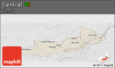 Shaded Relief Panoramic Map of Central, lighten, desaturated