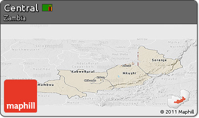 Shaded Relief Panoramic Map of Central, lighten, desaturated