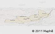 Shaded Relief Panoramic Map of Central, lighten, semi-desaturated