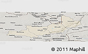Shaded Relief Panoramic Map of Central, semi-desaturated