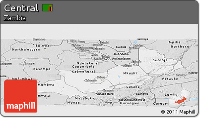 Silver Style Panoramic Map of Central