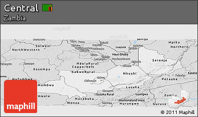 Silver Style Panoramic Map of Central