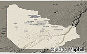 Shaded Relief Panoramic Map of Serenje, darken