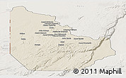 Shaded Relief Panoramic Map of Serenje, lighten