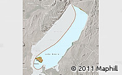 Satellite Map of Lake Mweru, lighten, semi-desaturated