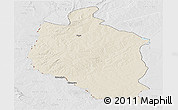 Shaded Relief Panoramic Map of Mansa, lighten, desaturated