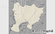 Shaded Relief 3D Map of Mwense, darken, desaturated