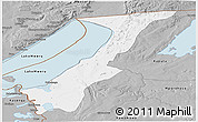 Gray Panoramic Map of Nchelenge