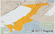 Political Panoramic Map of Nchelenge, lighten, semi-desaturated