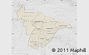 Shaded Relief Map of Mashonaland Central, lighten, desaturated