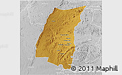 Physical 3D Map of Mazowe, lighten, desaturated