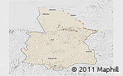 Shaded Relief 3D Map of Mount Darwin, lighten, desaturated