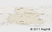 Shaded Relief Panoramic Map of Mount Darwin, lighten