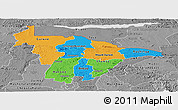 Political Panoramic Map of Mashonaland Central, desaturated