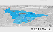 Political Shades Panoramic Map of Mashonaland Central, lighten, desaturated