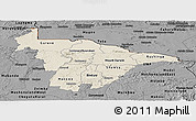 Shaded Relief Panoramic Map of Mashonaland Central, darken, desaturated