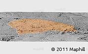 Satellite Panoramic Map of Rushinga, desaturated