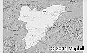 Gray 3D Map of Shamva