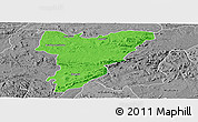 Political Panoramic Map of Shamva, desaturated