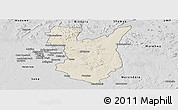 Shaded Relief Panoramic Map of Goromonzi, desaturated