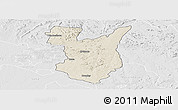 Shaded Relief Panoramic Map of Goromonzi, lighten, desaturated
