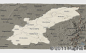 Shaded Relief Panoramic Map of Mashonaland East, darken