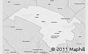 Silver Style 3D Map of Bubi