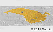 Physical Panoramic Map of Bubi, lighten, desaturated