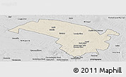 Shaded Relief Panoramic Map of Bubi, desaturated